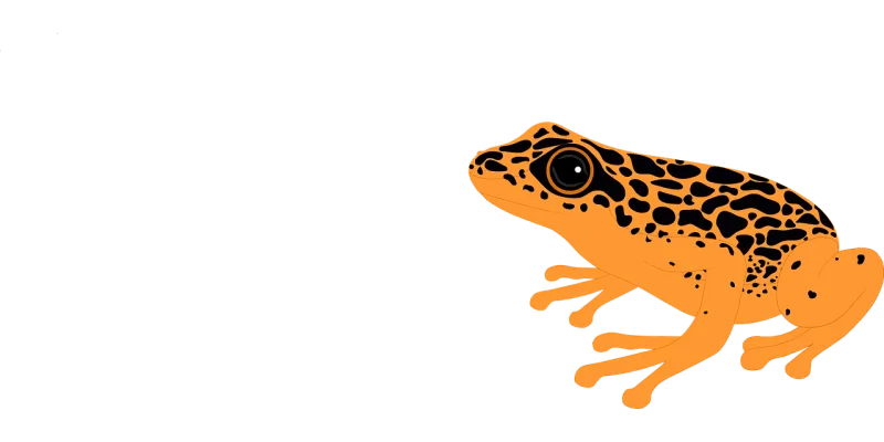 Poison dart frog Frog Amphibian Stickdatei – Natur
