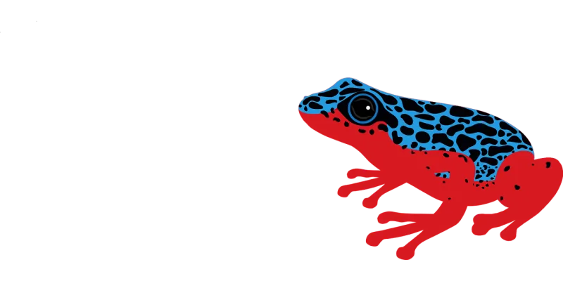 Poison dart frog Frog Amphibian Stickdatei – Natur