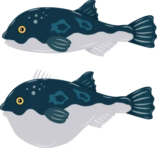 Pufferfish Fugu Fish Stickdatei