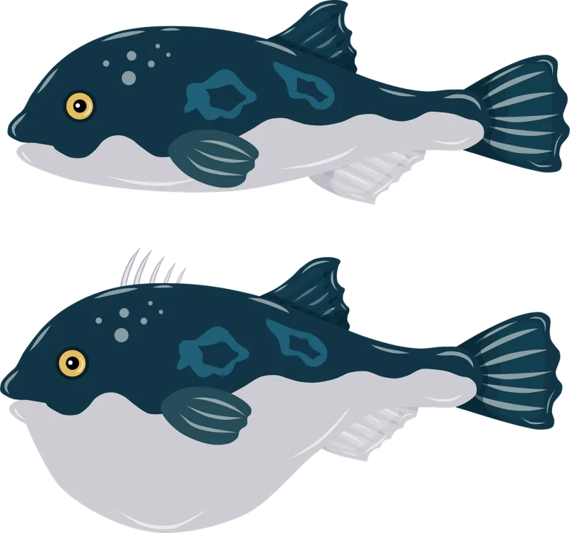 Pufferfish Fugu Fish Stickdatei – Tiere