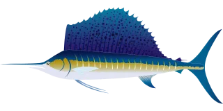Sailfish Fish Marlin Stickdatei