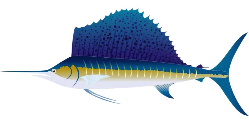 Sailfish Fish Marlin Stickdatei – Tiere
