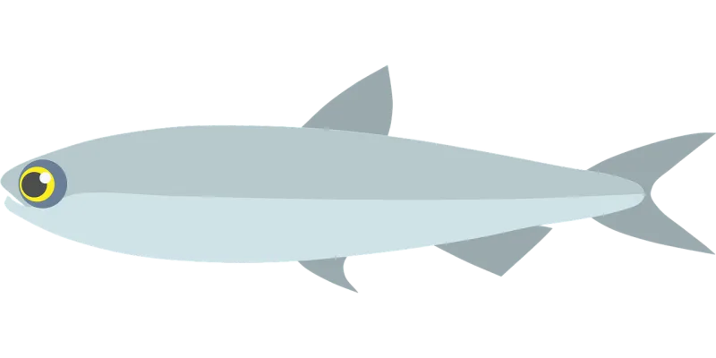 Anchovy Fish Anchovies Stickdatei – Sport