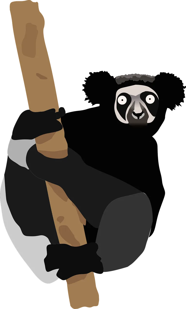Lemur Primate Animals Stickdatei – Natur