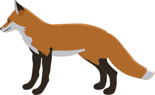 Fox Red fox Wild Stickdatei