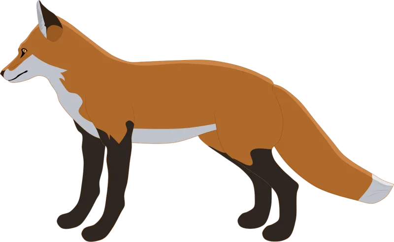 Fox Red fox Wild Stickdatei – Tiere