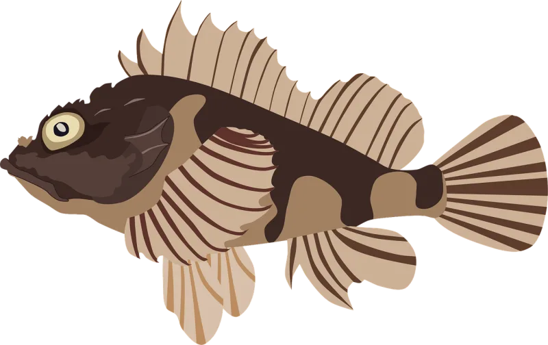 Scorpionfish Fish Nature Stickdatei – Tiere