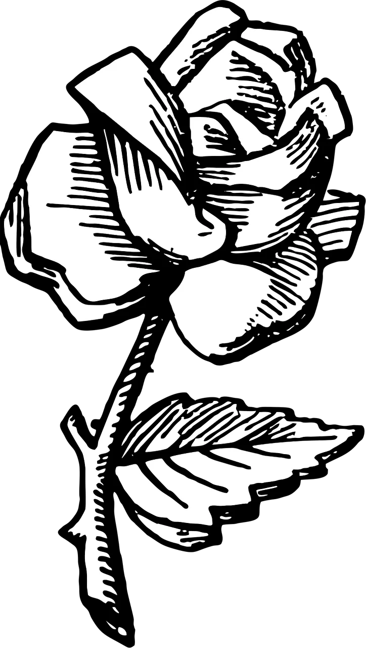 Rose Rose flower Flower Stickdatei – Blumen