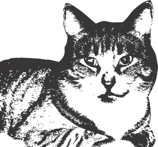 Cat Animal Pet Stickdatei