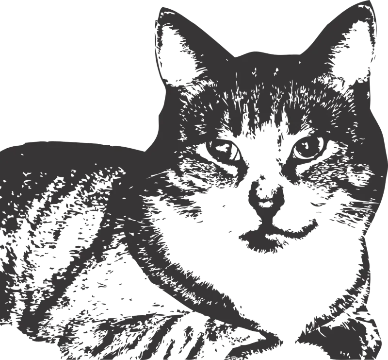 Cat Animal Pet Stickdatei – Tiere