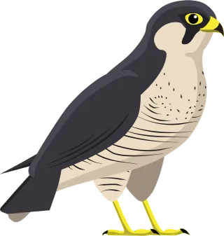 Falcon Nature Hawk Stickdatei