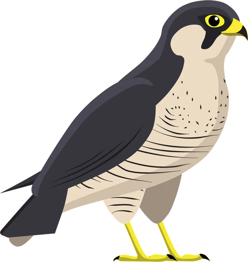 Falcon Nature Hawk Stickdatei – Natur