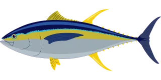 Tuna Yellow fin tuna Fish Stickdatei