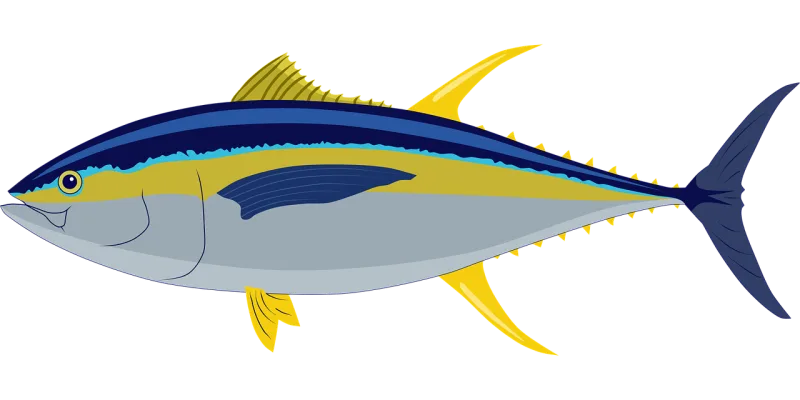 Tuna Yellow fin tuna Fish Stickdatei – Sport