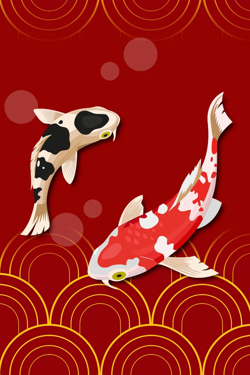 Fish Koi Fins Stickdatei – Tiere