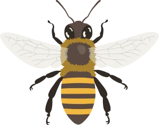 Bee Bumblebee Wings Stickdatei