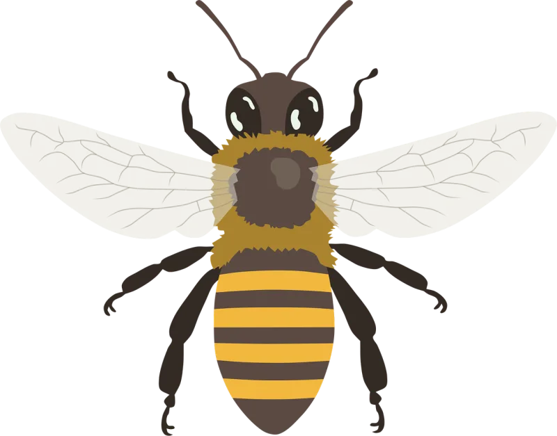 Bee Bumblebee Wings Stickdatei – Tiere