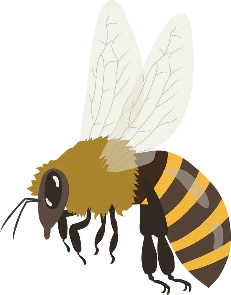 Bee Bumblebee Honeybee Stickdatei – Tiere