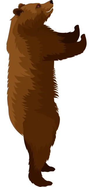 Brown bear Bear Animal Stickdatei
