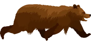 Brown bear Bear Animal Stickdatei