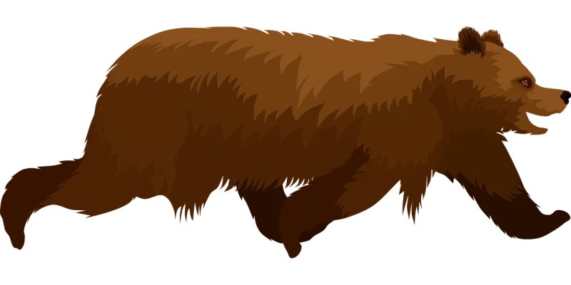 Brown bear Bear Animal Stickdatei – Tiere