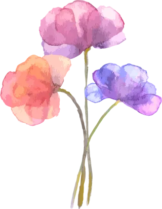 Flowers Petals Bouquet Stickdatei