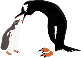 Gentoo penguin Penguins Gentoo Stickdatei