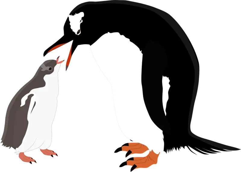 Gentoo penguin Penguins Gentoo Stickdatei – Tiere