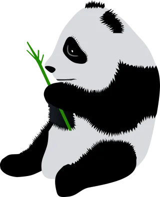 Panda Panda bear Nature Stickdatei