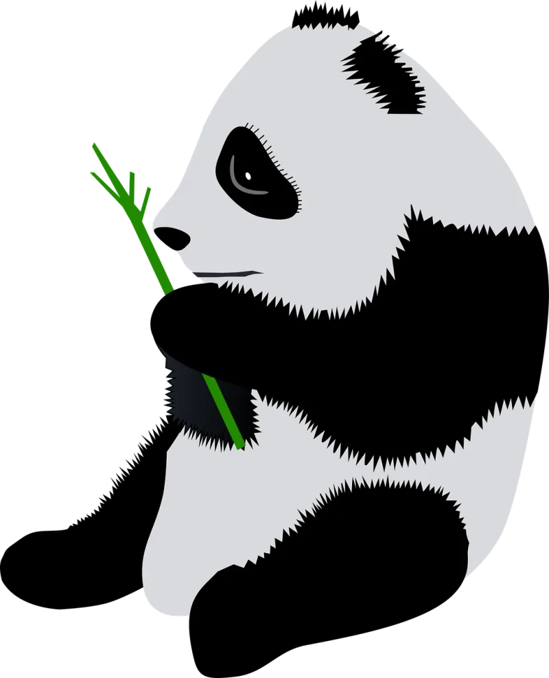 Panda Panda bear Nature Stickdatei – Tiere