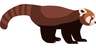 Red panda Panda Animal Stickdatei – Tiere
