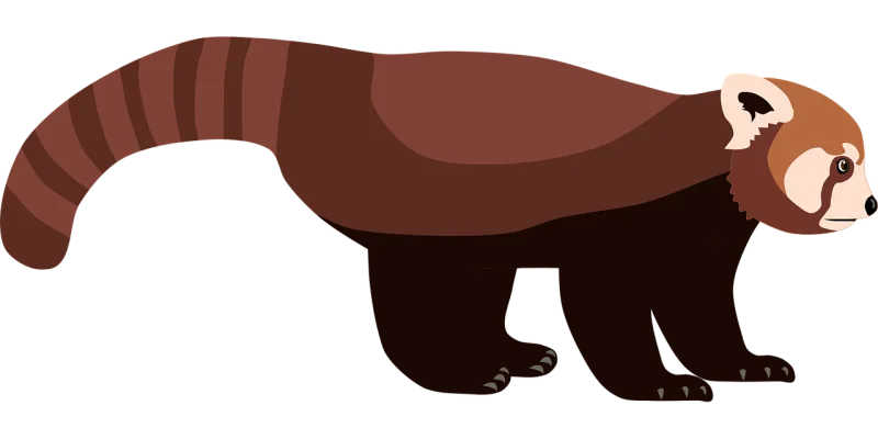 Red panda Panda Animal Stickdatei – Tiere