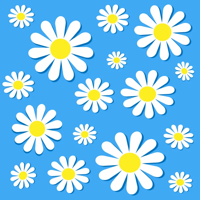Chamomile Beautiful wallpaper Beautiful flowers Stickdatei – Blumen
