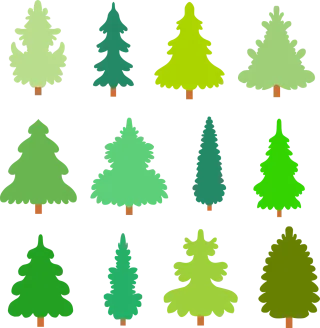 Trees Tree Conifers Stickdatei