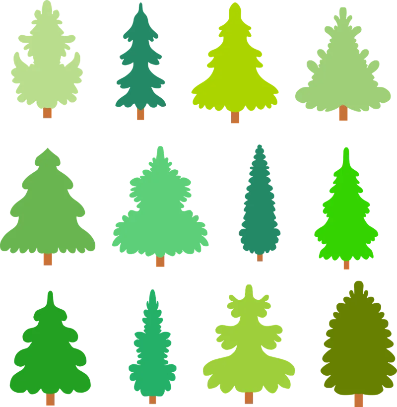 Trees Tree Conifers Stickdatei – Natur