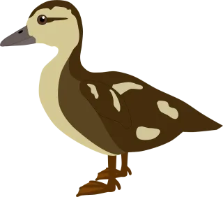 Duckling Duck Nature Stickdatei