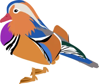 Mandarin duck Duck Bird Stickdatei