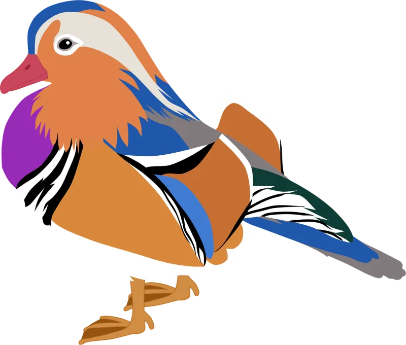 Mandarin duck Duck Bird Stickdatei – Tiere