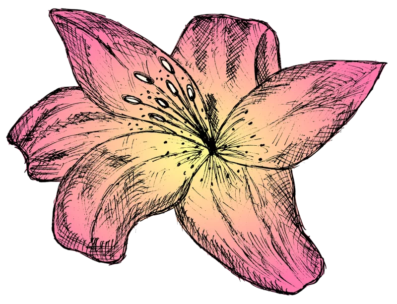 Lily Flower Pink flower Stickdatei – Blumen