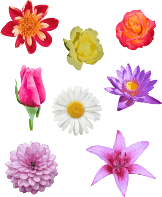 Flowers Bud Painting Stickdatei