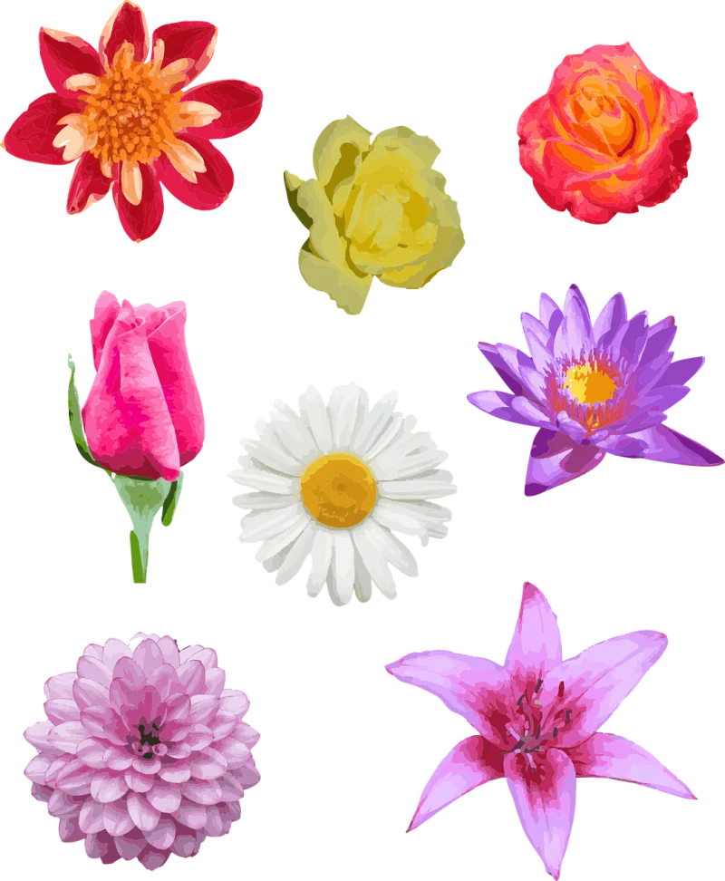 Flowers Bud Painting Stickdatei – Blumen