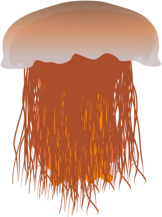 Jellyfish Lion's mane jellyfish Creature Stickdatei