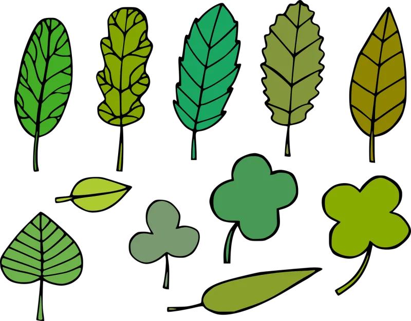 Foliage Leaves Leaf icons Stickdatei – Natur