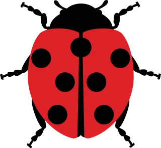 Ladybug Ladybird beetle Bug Stickdatei