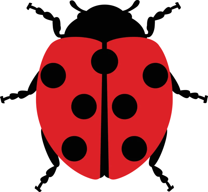 Ladybug Ladybird beetle Bug Stickdatei – Tiere