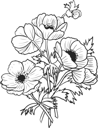 Flowers Anemones Poppies Stickdatei