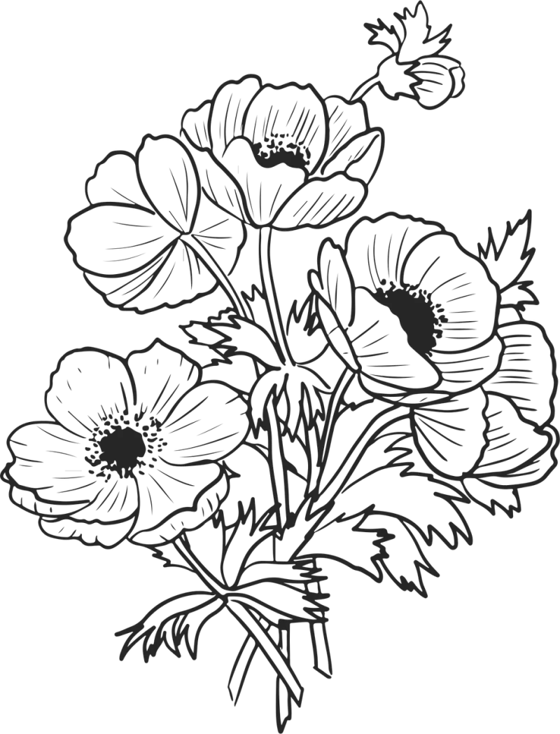 Flowers Anemones Poppies Stickdatei – Blumen