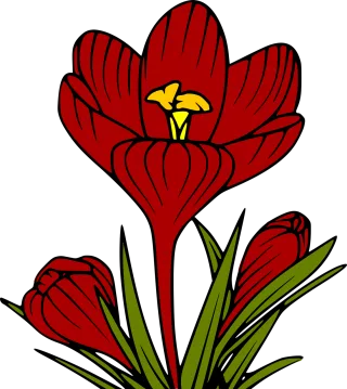 Flowers Tulips Petals Stickdatei