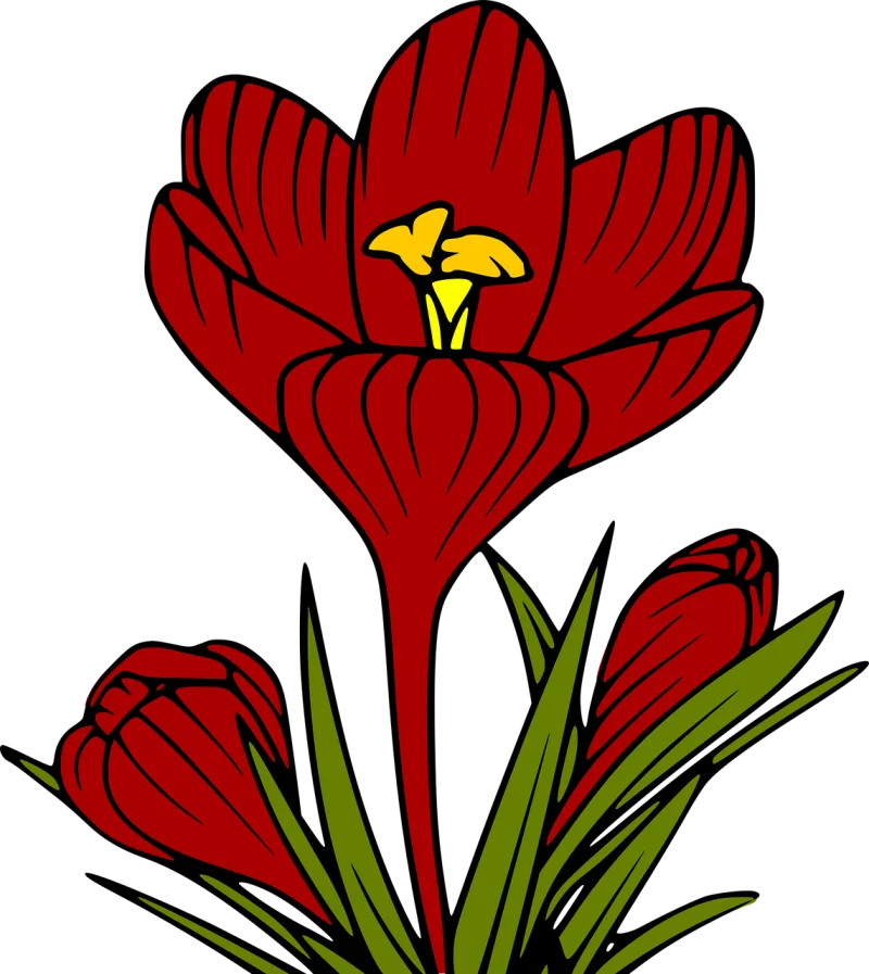 Flowers Tulips Petals Stickdatei – Blumen
