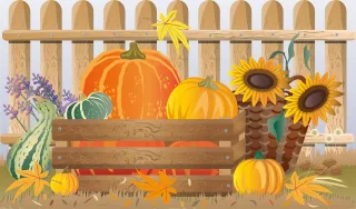 Pumpkins Squash Halloween Stickdatei